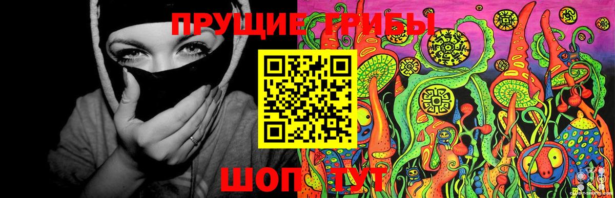 Уварово  Псилоцибиновые грибы MAGIC MUSHROOMS  Вход с VPN 