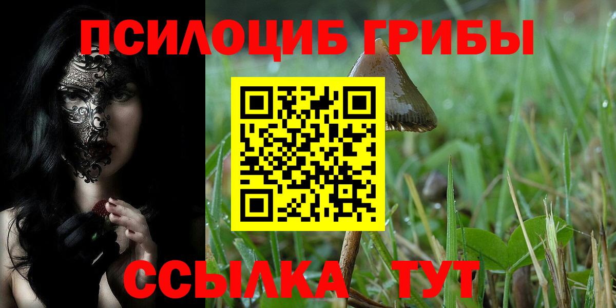 Галлюциногенные грибы Psilocybine cubensis Уварово